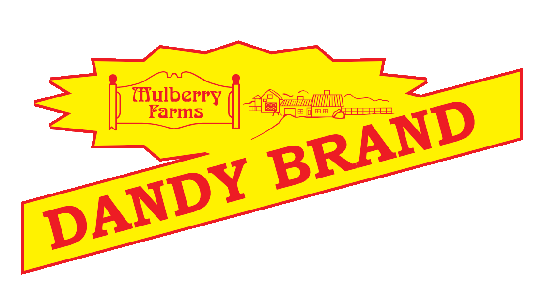 Dandy Brand logo